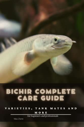 Bichir Complete Care Guide: Varieties, Tank Mates and .
